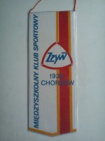 /album/chorzow2/mks-zryw-chorzow-26-jpg/